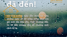 mua-mua-da-den-loai-bo-noi-lo-tham-dot-voi-tam-op-nhua-sr12-saigon