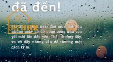 mua-mua-da-den-loai-bo-noi-lo-tham-dot-voi-tam-op-nhua-sara