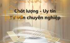SARA Việt Nam - Chất Lượng - Uy Tín - Tư Vấn Chuyên Nghiệp