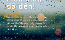Mùa Mưa Đã Đến - Loại Bỏ Nỗi Lo Thấm Dột Với Tấm Ốp Nhựa Sara!